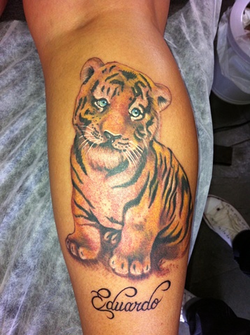 Tigre