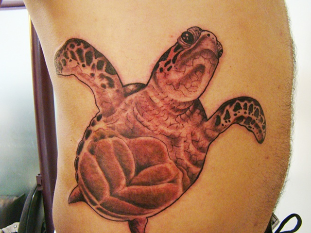 Tartaruga