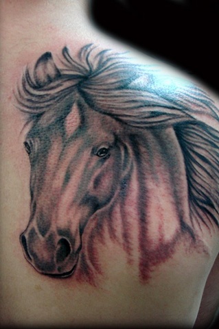 Cavalo
