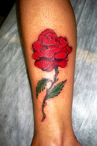 Rosa
