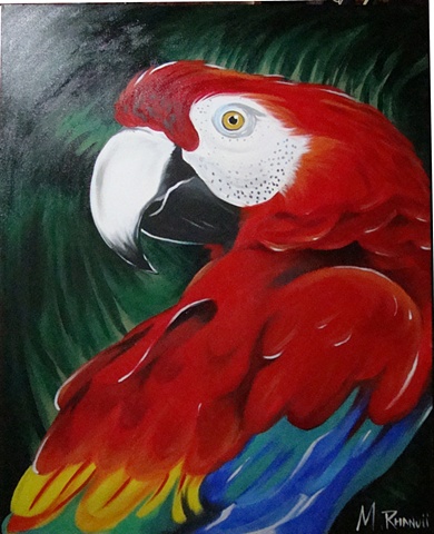 Arara Vermelha - acrylic canvas