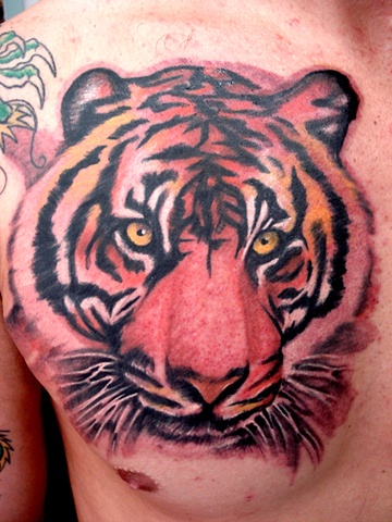 Tigre