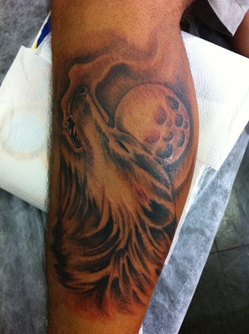 Lobo