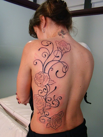 rosas - em progresso