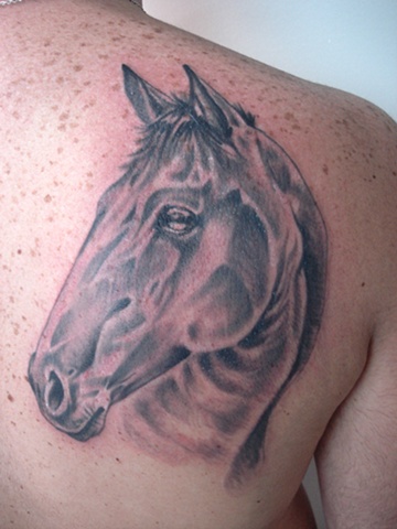 Cavalo