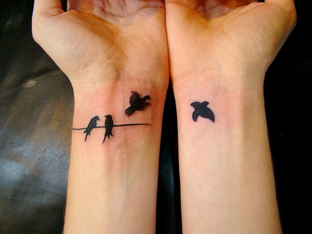 Birds