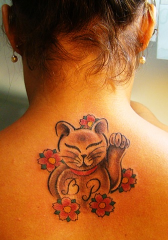 Gato