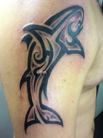 Tribal Sharck