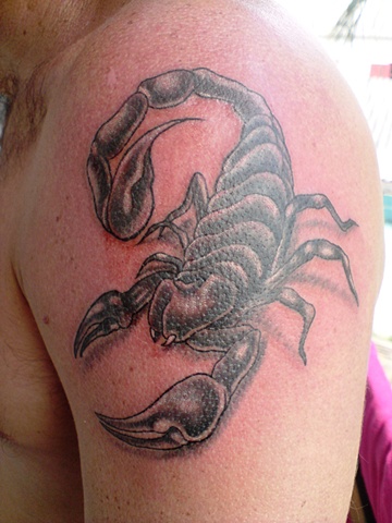 Scorpion