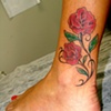Rosas