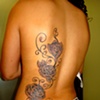 Rosas
