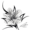 Flor