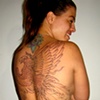 F&ecirc;nix - Tattoo em andamento - Vanessa