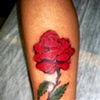 Rosa