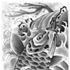 Coi