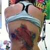 Koi