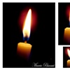 Vela