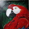 Arara Vermelha - acrylic canvas