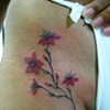 Flor