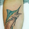 Marlin