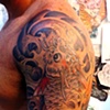 Dragon Koi - Bernardo