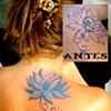 Cover up