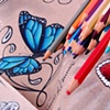 Colors