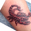 Red Scorpion