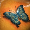 Borboleta