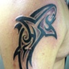 Tribal Sharck