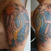 Drag&atilde;o Azul