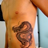 Drag&atilde;o sombreado.