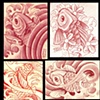 Koi