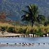 Itaip&uacute;