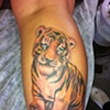 Tigre