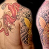 Golden Coi and Red Dragon