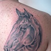 Cavalo