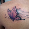 Borboleta