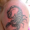 Scorpion