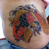 Koi