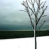 Chicago Winter 