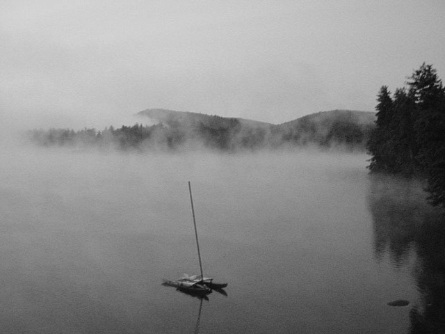 Fog