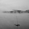 Fog