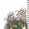 Sketchbook Nature