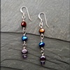 The Multitude Earrings