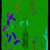 VASE WITH FLOWERS