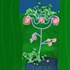 GREEN DRAPES