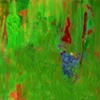 TALL GRASS
