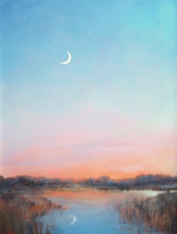 Twilight in the Marsh