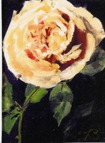 Yellow Rose